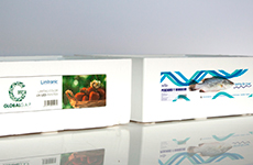 Industrial printing on EPS boxes